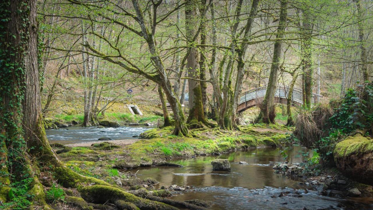 Le Moulin Des Ruats Hotell Avallon Exteriör bild